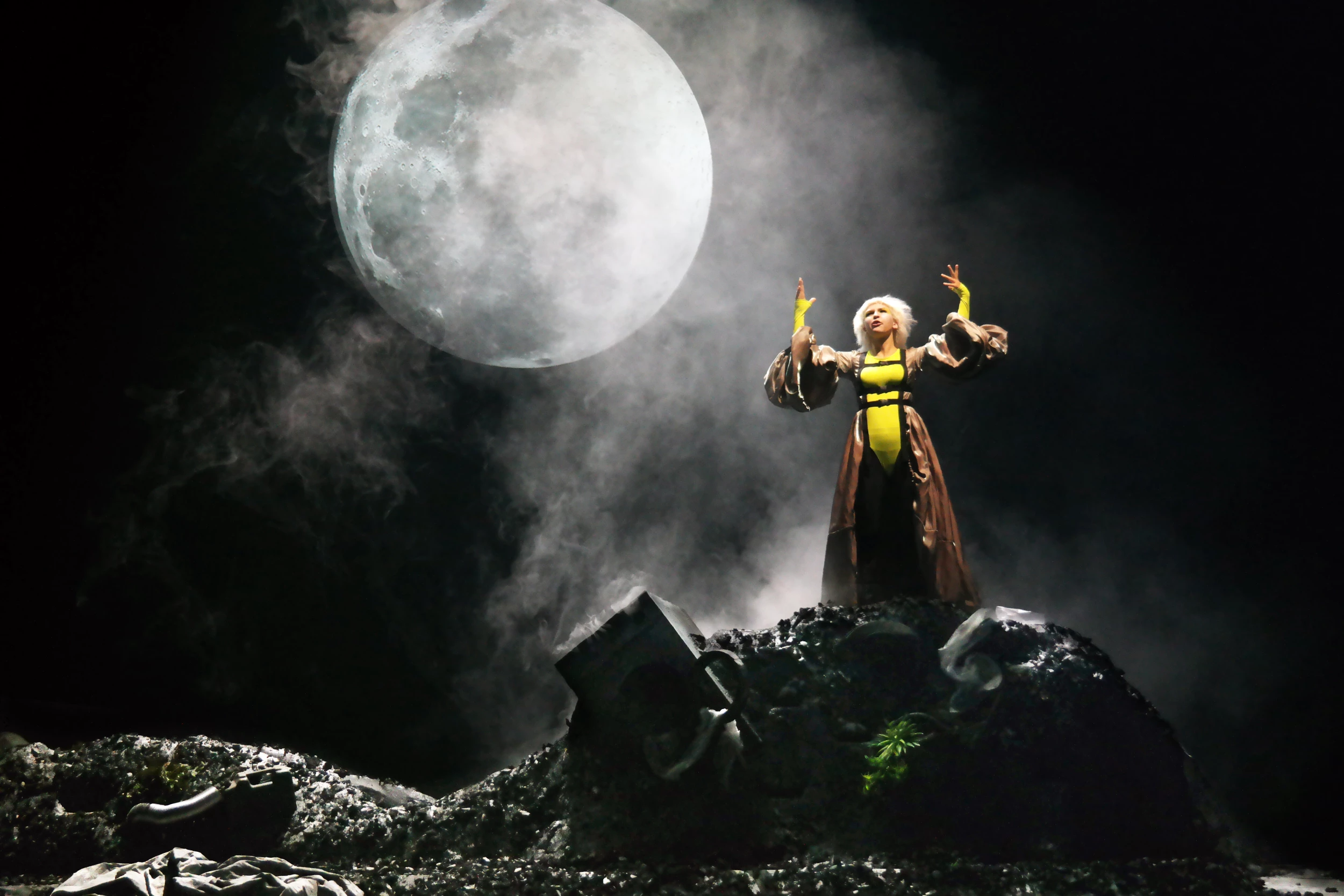 Cover für die Zauberflöte